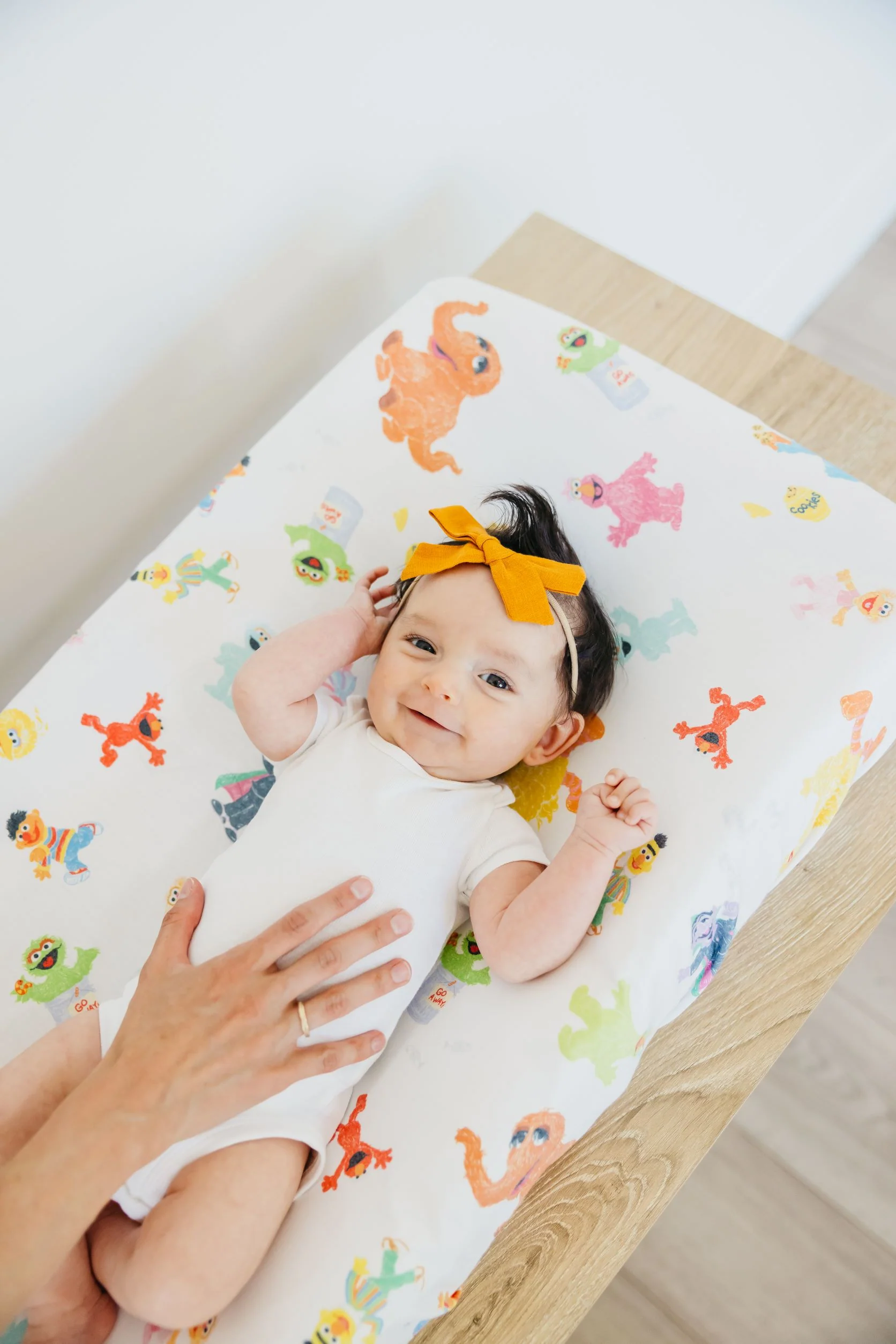 Premium Knit Diaper Changing Pad Cover - Sesame Friends - Image 4