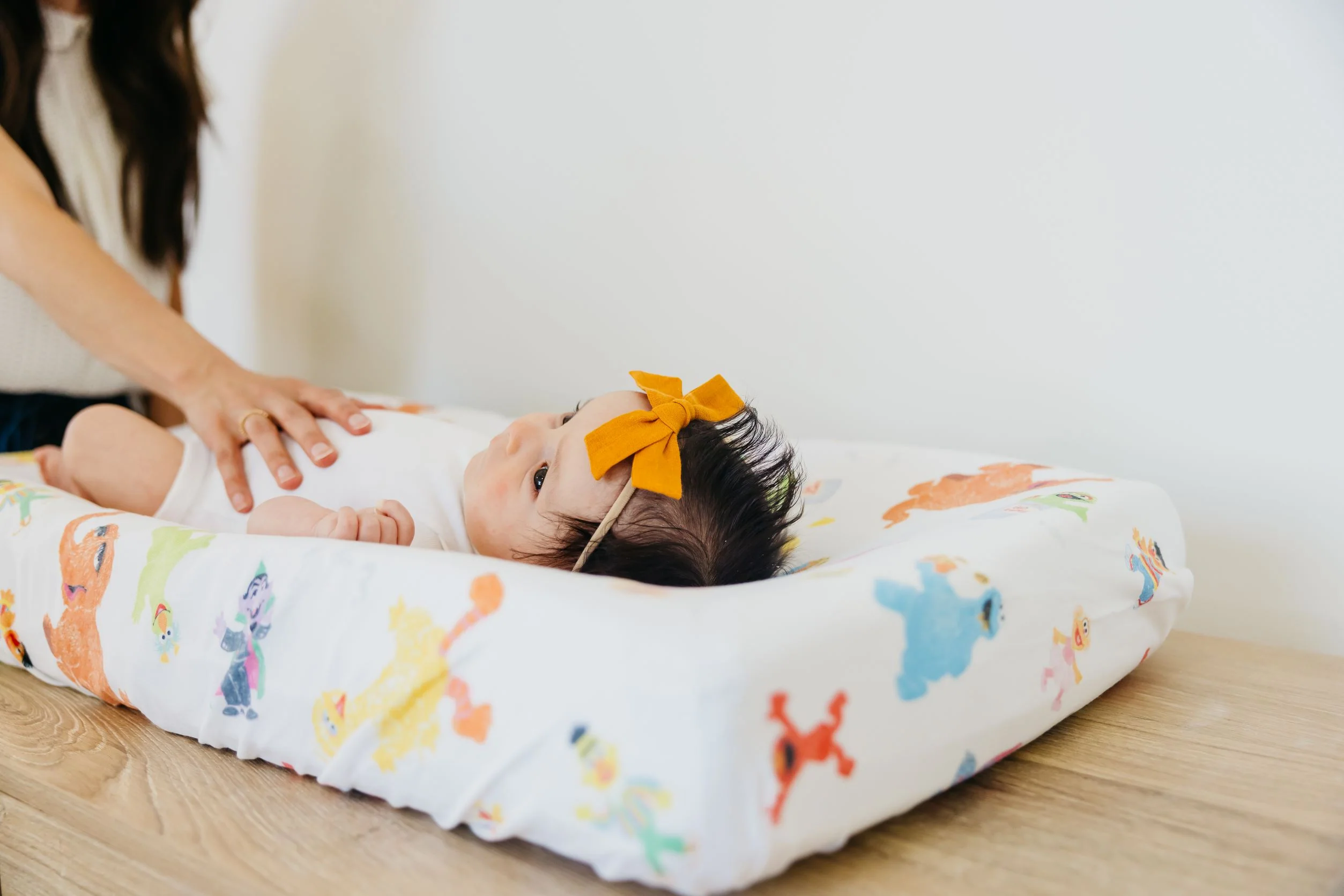 Premium Knit Diaper Changing Pad Cover - Sesame Friends - Image 5