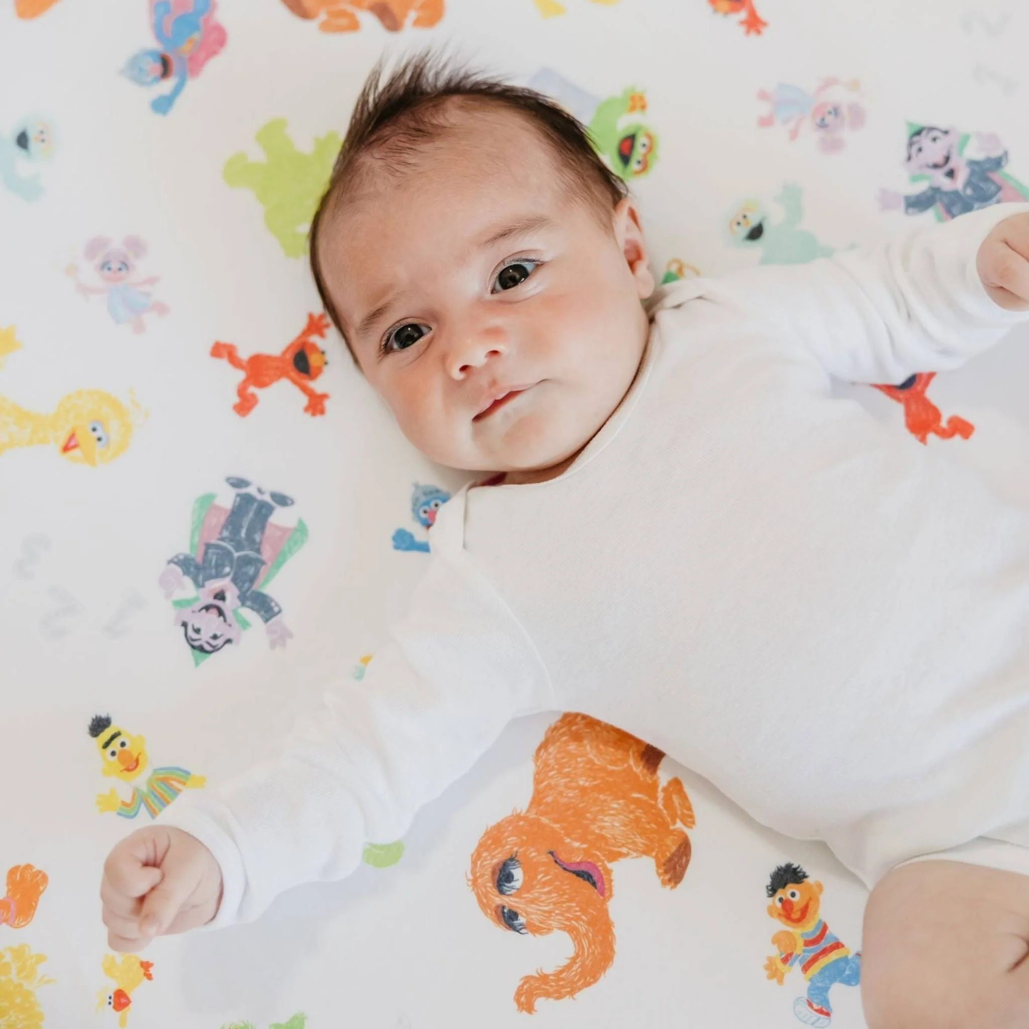 Premium Knit Fitted Crib Sheet - Sesame Friends - Image 5